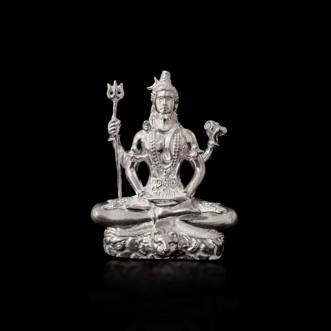 Carved Shiva Murti-1pc