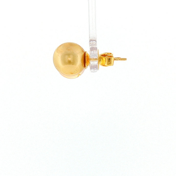 18K YG Push back Stud Earring with 10-10.5mm Golden South Sea Pearl