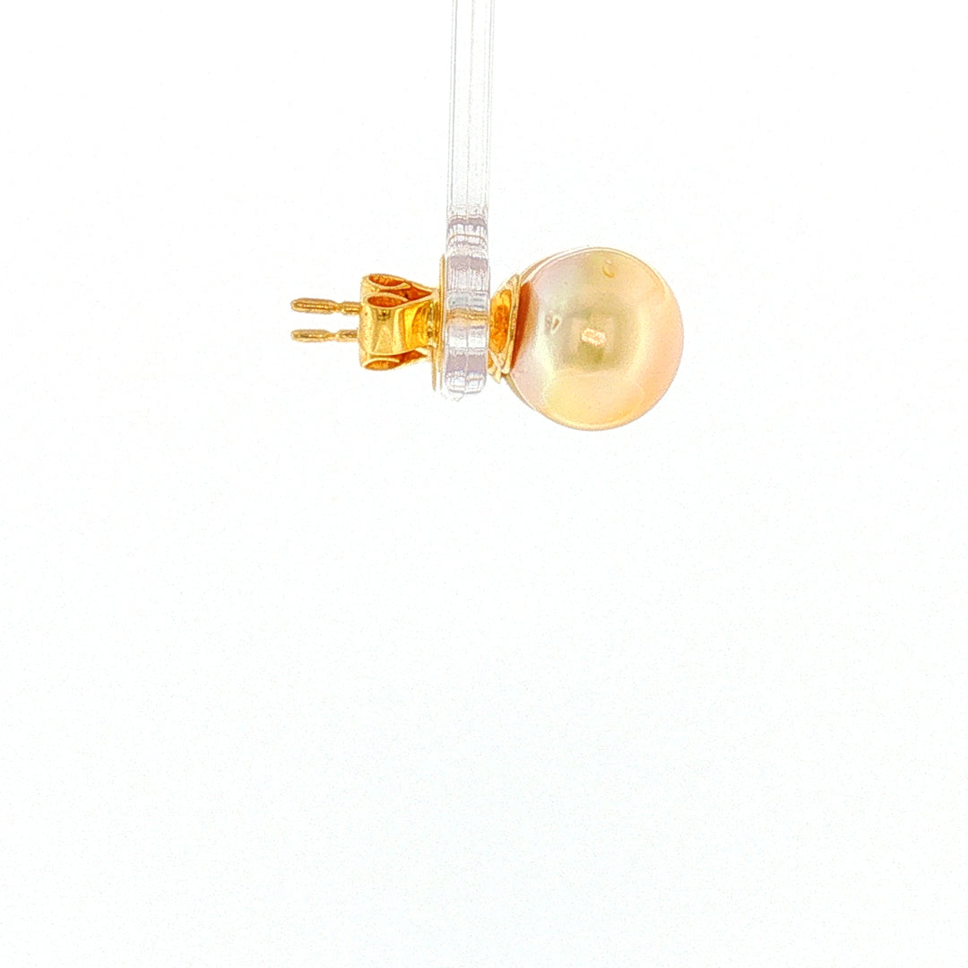 18K YG Push back Stud Earring with 10-10.5mm Golden South Sea Pearl
