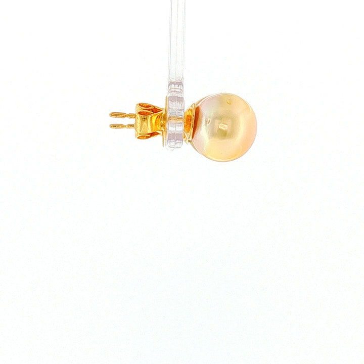 18K YG Push back Stud Earring with 10-10.5mm Golden South Sea Pearl