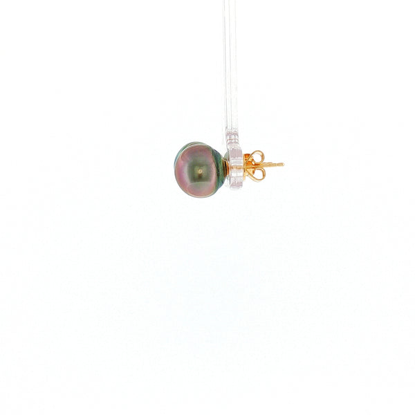 18K YG Push Back Stud Earring with 9-9.5mm Tahitian Pearl