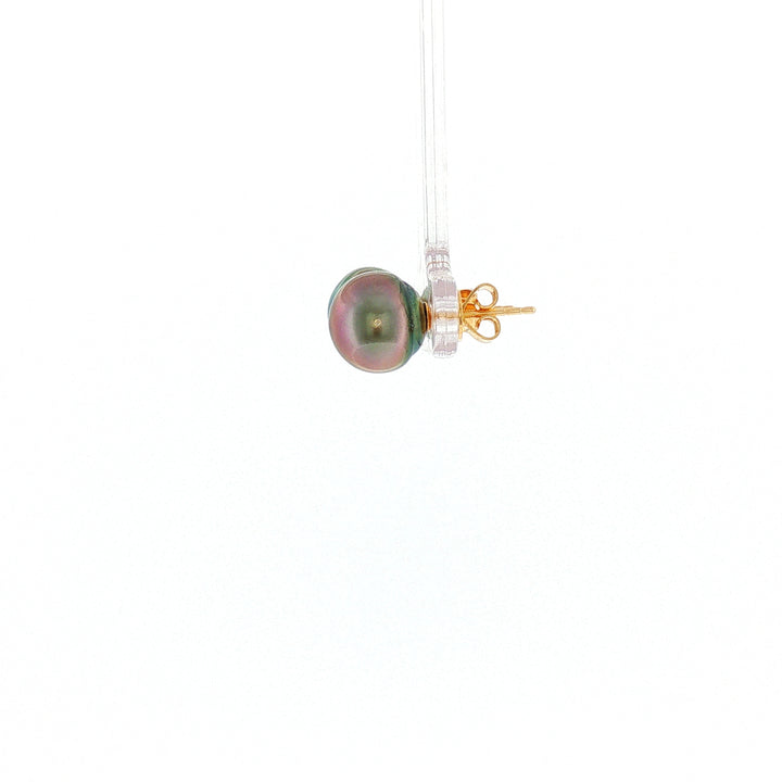 18K YG Push Back Stud Earring with 9-9.5mm Tahitian Pearl